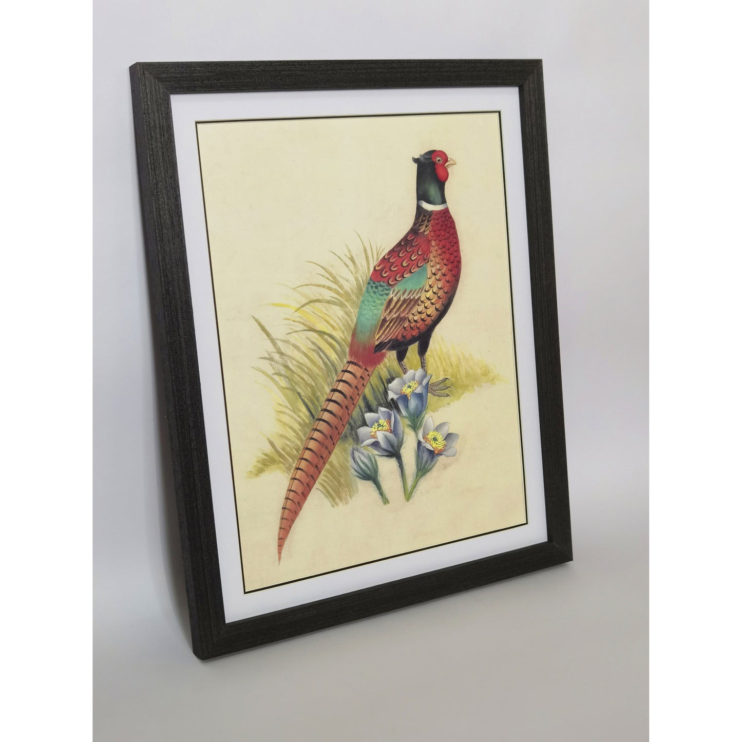 South Dakota Ring-necked Pheasant Hand-painted Art Print - Premium MATT Paper, Natural Wood Frame, Wall & Tabletop Décor, Multiple Sizes & Colors for Home, Office & Gifts