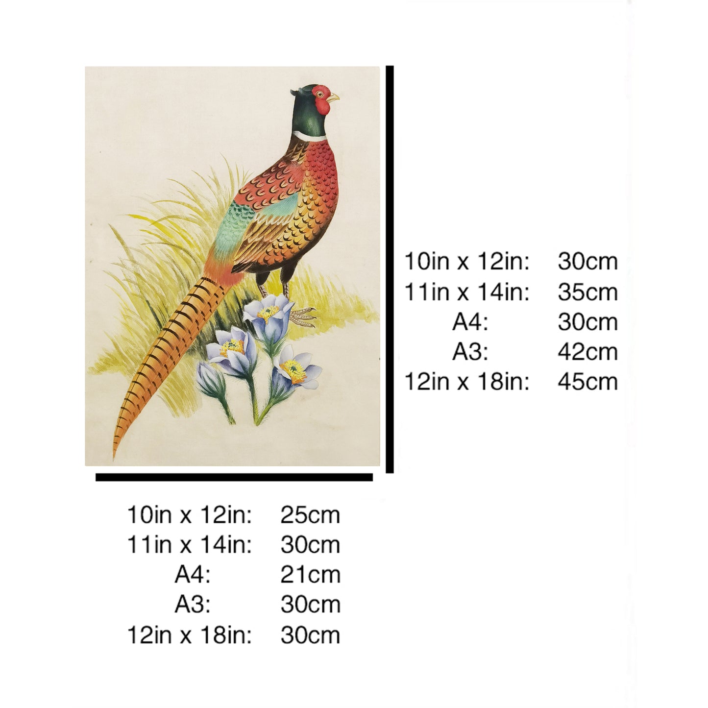 South Dakota Ring-necked Pheasant Hand-painted Art Print - Premium MATT Paper, Natural Wood Frame, Wall & Tabletop Décor, Multiple Sizes & Colors for Home, Office & Gifts
