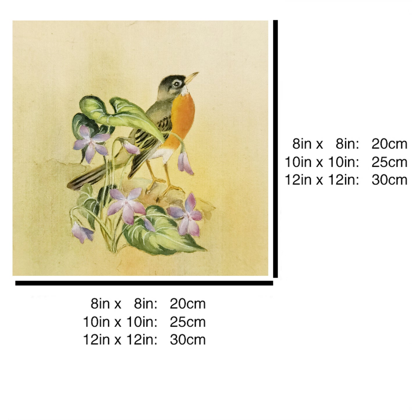 Hand-painted American Robin Artwork – Fine Brush Technique, Premium MATT Paper, Natural Wood Frame, Multiple Sizes & Colors