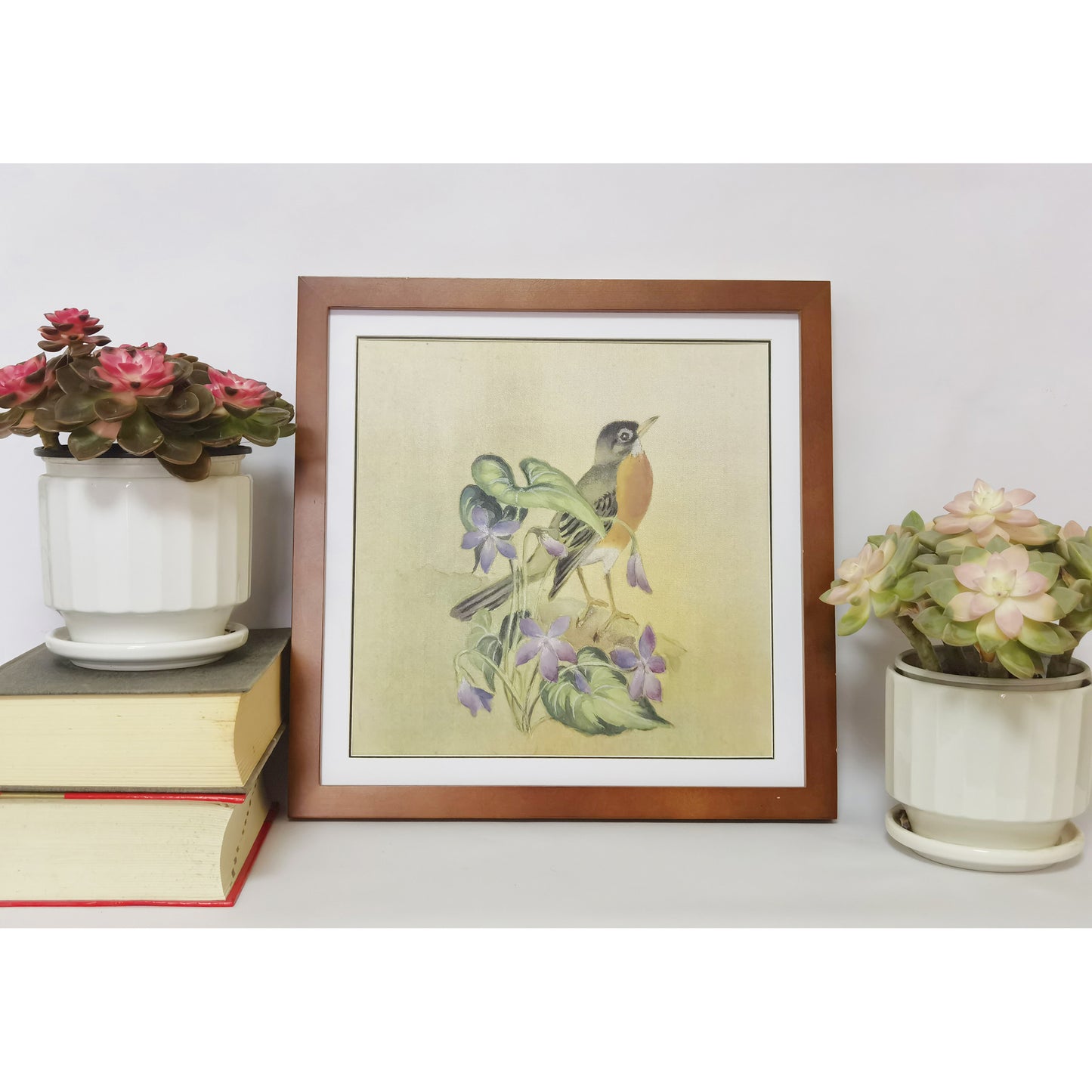 Hand-painted American Robin Artwork – Fine Brush Technique, Premium MATT Paper, Natural Wood Frame, Multiple Sizes & Colors