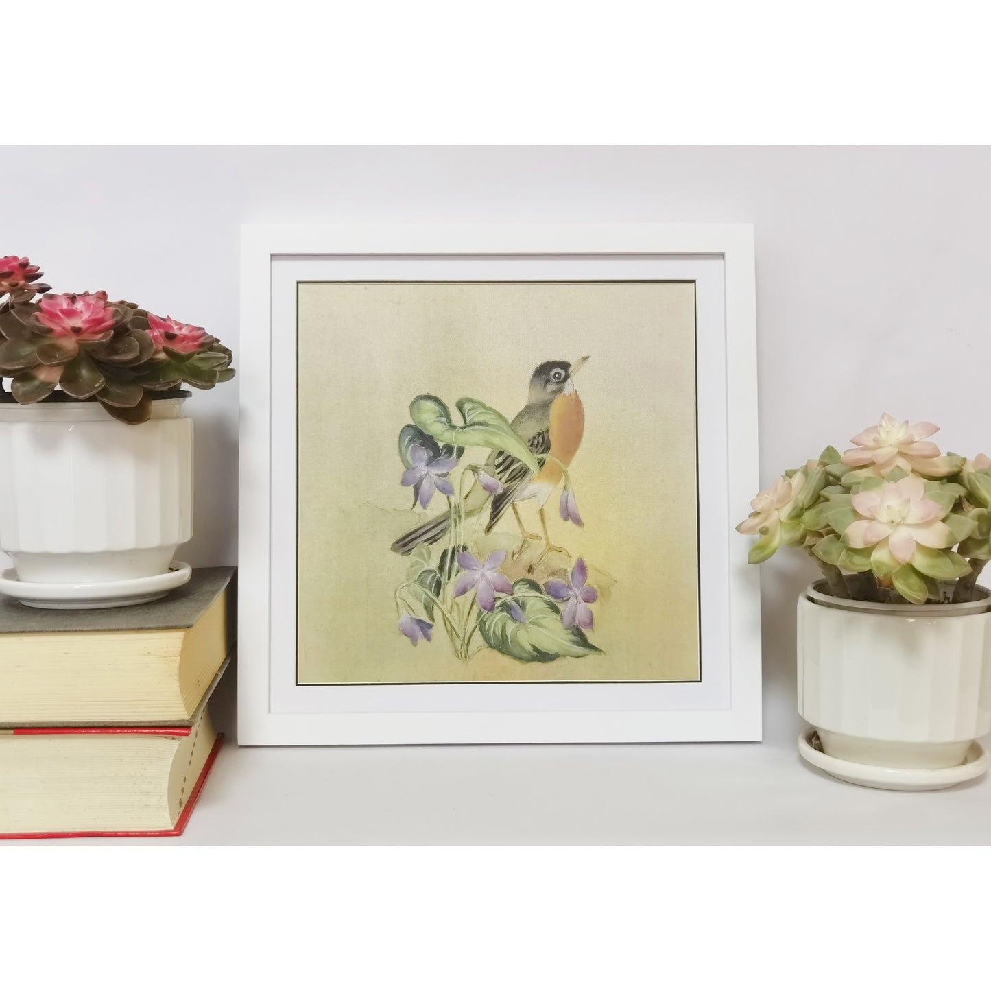 Hand-painted American Robin Artwork – Fine Brush Technique, Premium MATT Paper, Natural Wood Frame, Multiple Sizes & Colors