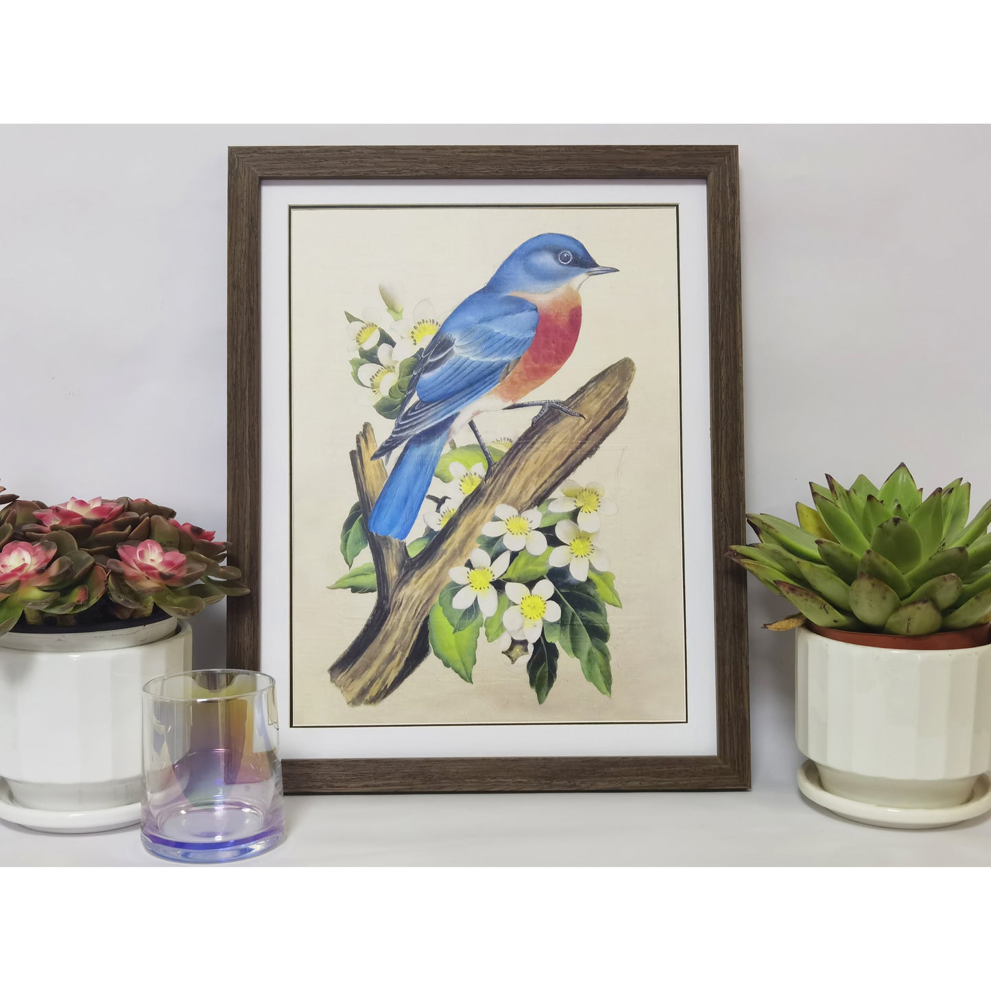 Missouri Eastern Bluebird Art Print - Hand-Drawn & Digitally Printed on Premium Matte Paper, Natural Wood Frame, Multiple Sizes & Colors, Dual Display for Home & Office