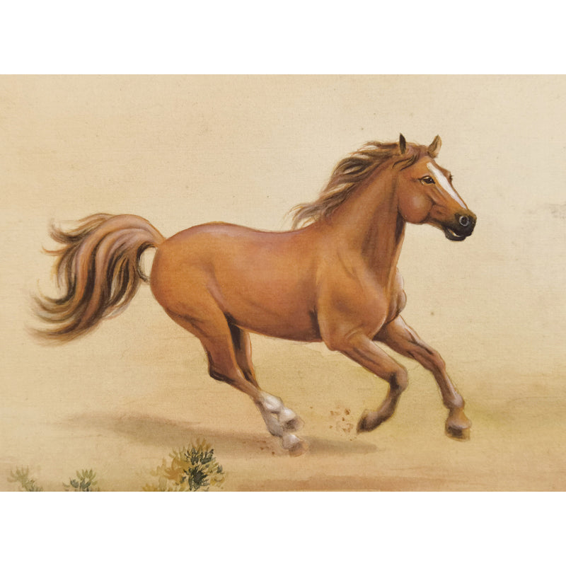 Hand-painted Brown Horse Artwork – Fine Brush Technique, Premium MATT Paper, Natural Wood Frame, Multiple Sizes & Colors