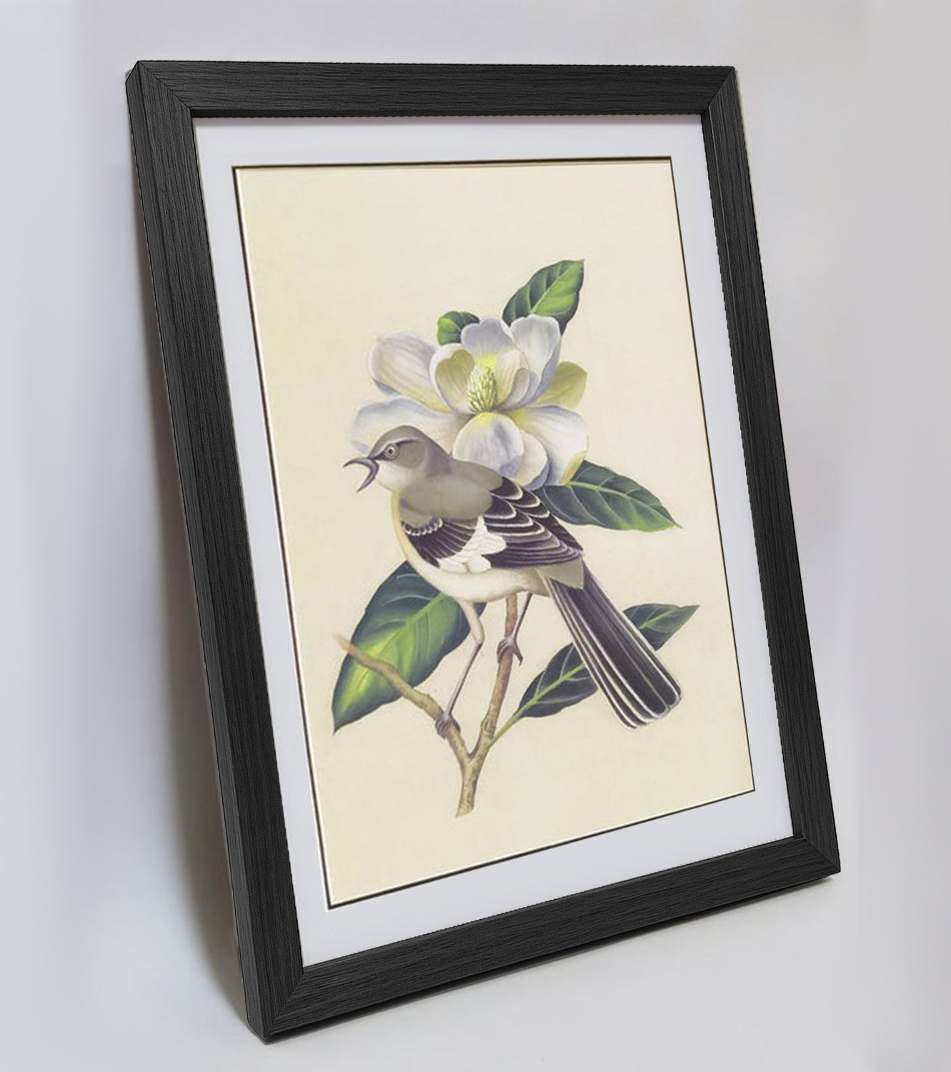 Mississippi Mockingbird Hand-painted Art Print - Premium MATT Paper, Natural Wood Frame, Wall & Tabletop Décor, Multiple Sizes & Colors Available