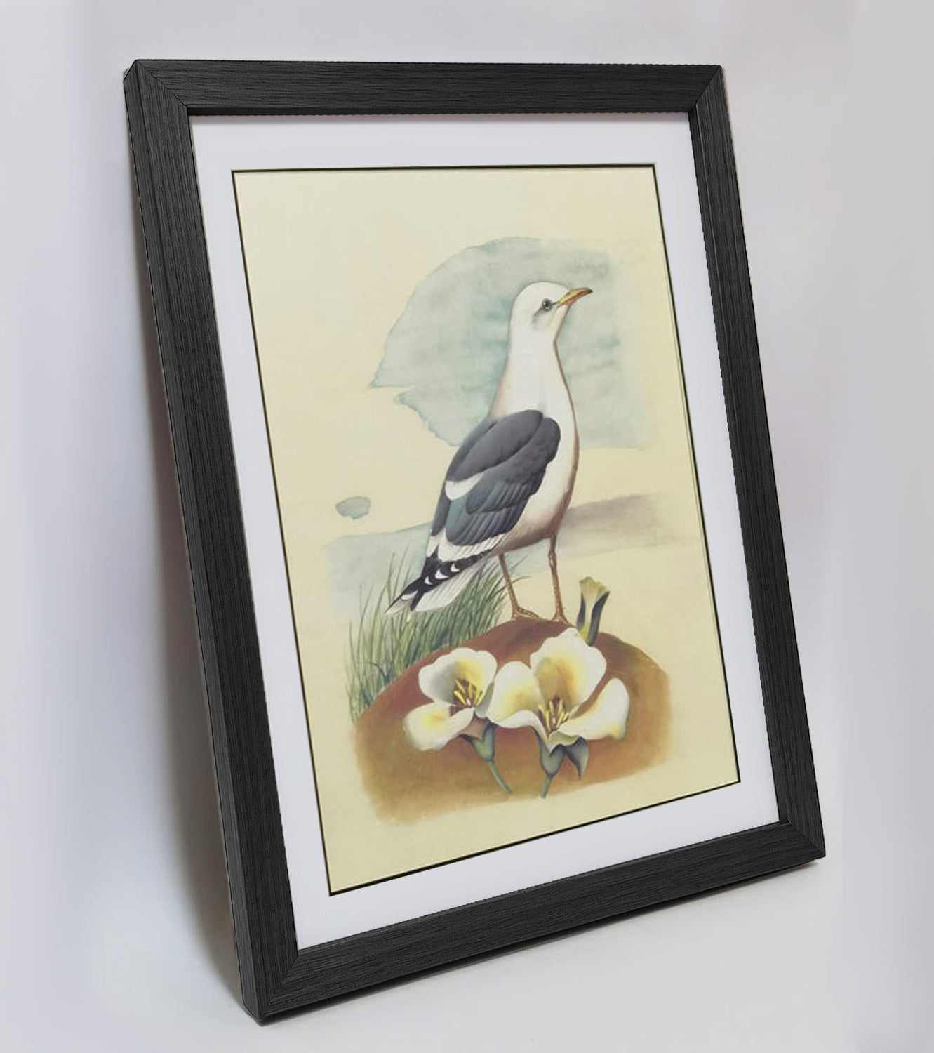 Utah California Gull Hand-painted Art Print - Premium MATT Paper, Natural Wood Frame, Wall & Tabletop Décor, Multiple Sizes & Colors