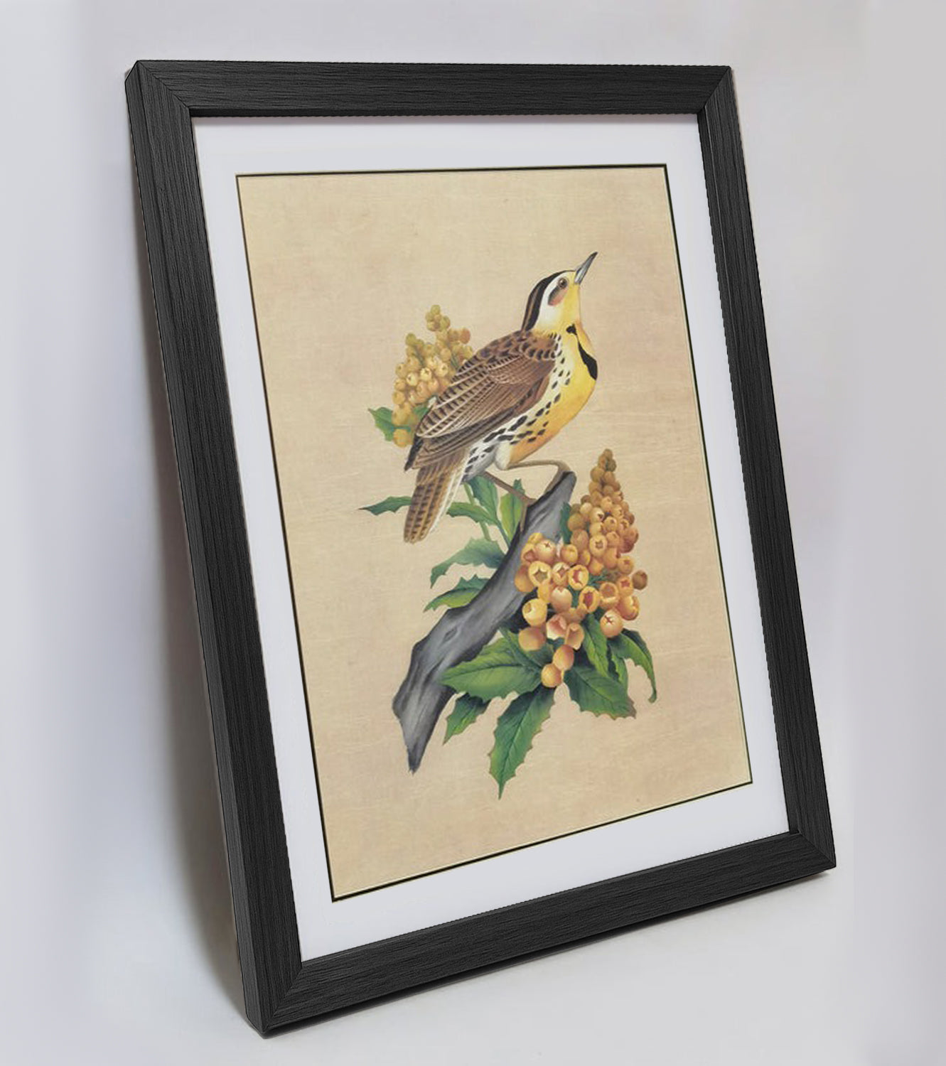 Oregon Western Meadowlark Home Decor Print | Hand-Painted, MATT Paper Print, Natural Wood Frame,Multiple Sizes & Colors