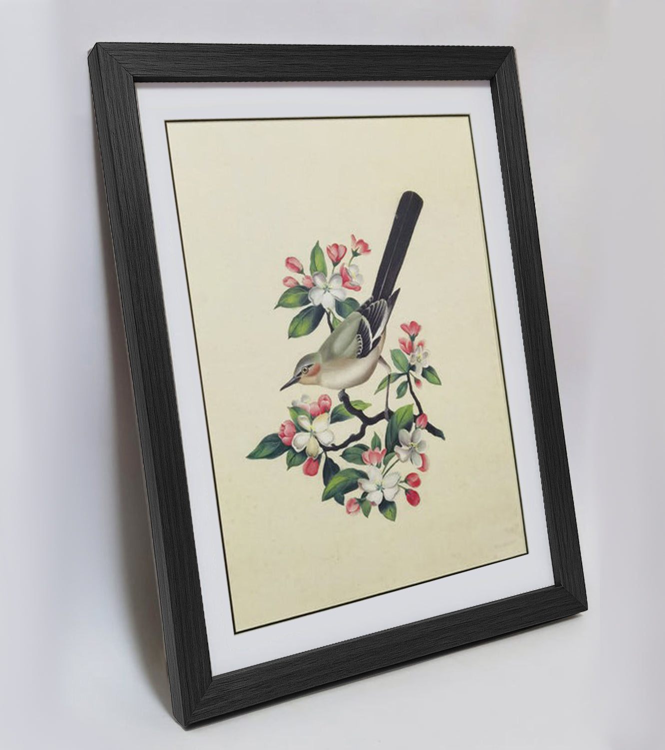 Arkansas Eastern Bluebird Hand-painted Art Print - Premium MATT Paper, Natural Wood Frame, Wall & Tabletop Décor, Multiple Sizes & Colors