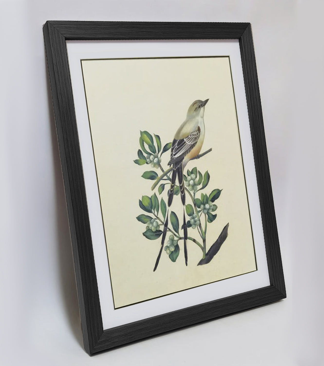 Oklahoma Scissor-tailed Flycatcher Hand-painted Art Print - Premium MATT Paper, Natural Wood Frame, Wall & Tabletop Décor, Multiple Sizes & Colors