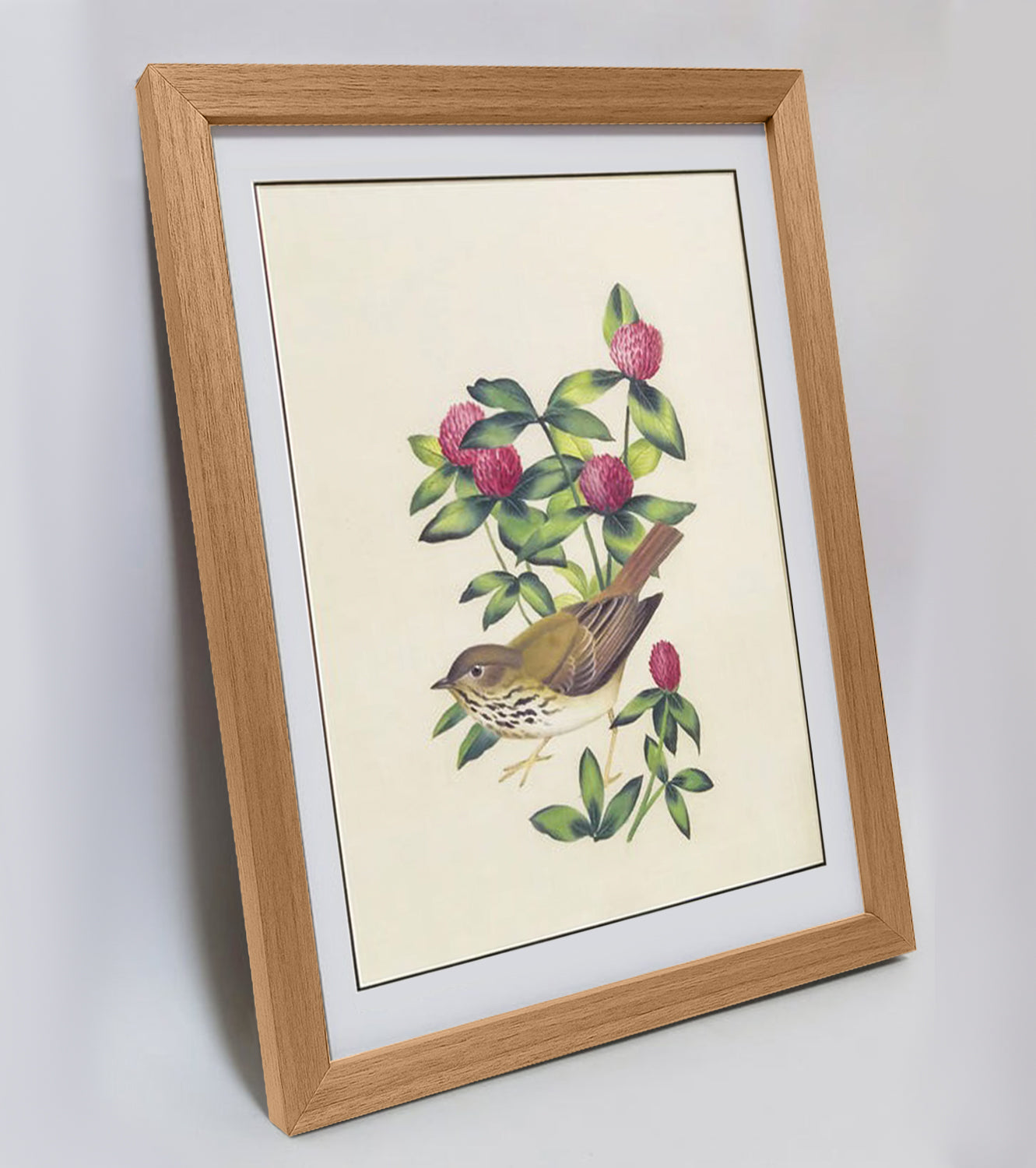 Vermont Hermit Thrush Hand-painted Art Print - Premium MATT Paper, Natural Wood Frame, Wall & Tabletop Décor, Multiple Sizes & Colors