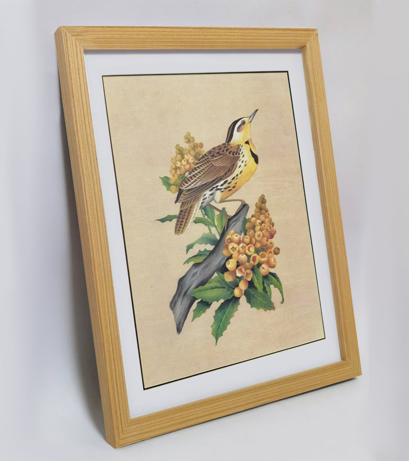 Oregon Western Meadowlark Home Decor Print | Hand-Painted, MATT Paper Print, Natural Wood Frame,Multiple Sizes & Colors