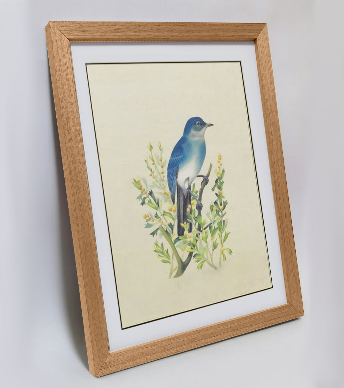 Nevada Mountain Bluebird Hand-painted Art Print - Premium MATT Paper, Natural Wood Frame, Wall & Tabletop Décor, Multiple Sizes & Colors