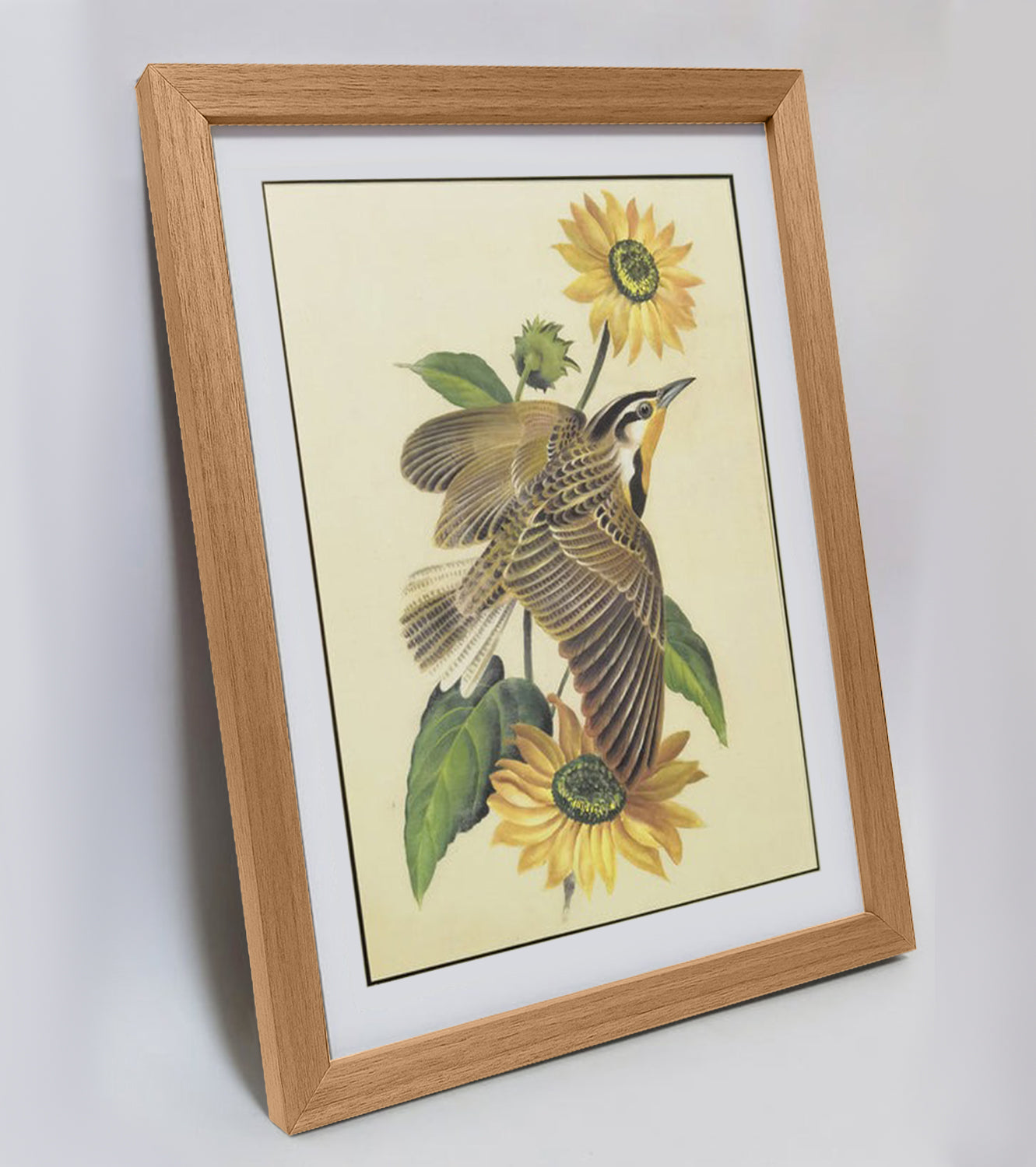 Kansas Western Meadowlark Hand-painted Art Print - Premium MATT Paper, Natural Wood Frame, Multiple Sizes & Colors, Wall & Tabletop Décor