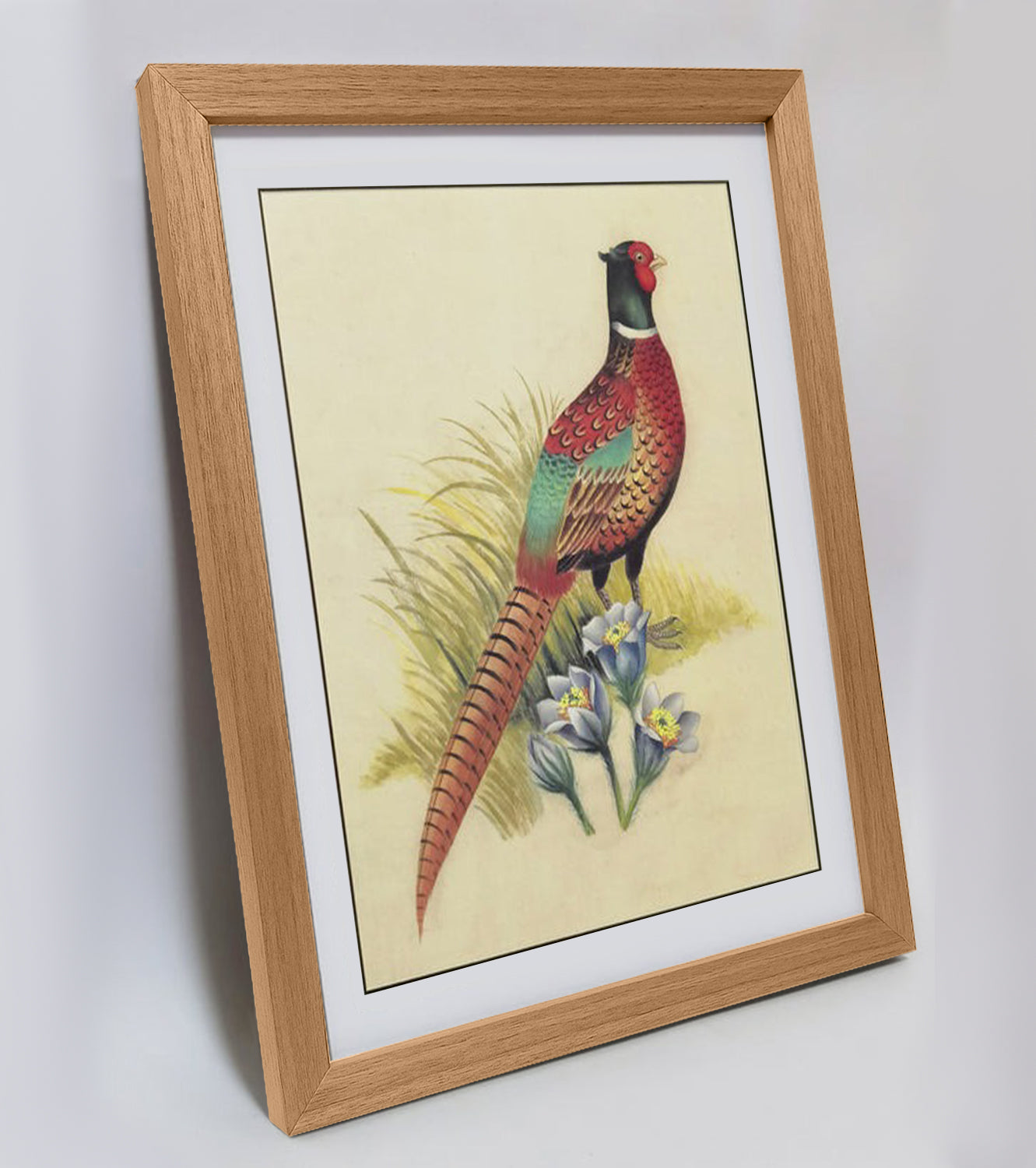 South Dakota Ring-necked Pheasant Hand-painted Art Print - Premium MATT Paper, Natural Wood Frame, Wall & Tabletop Décor, Multiple Sizes & Colors for Home, Office & Gifts