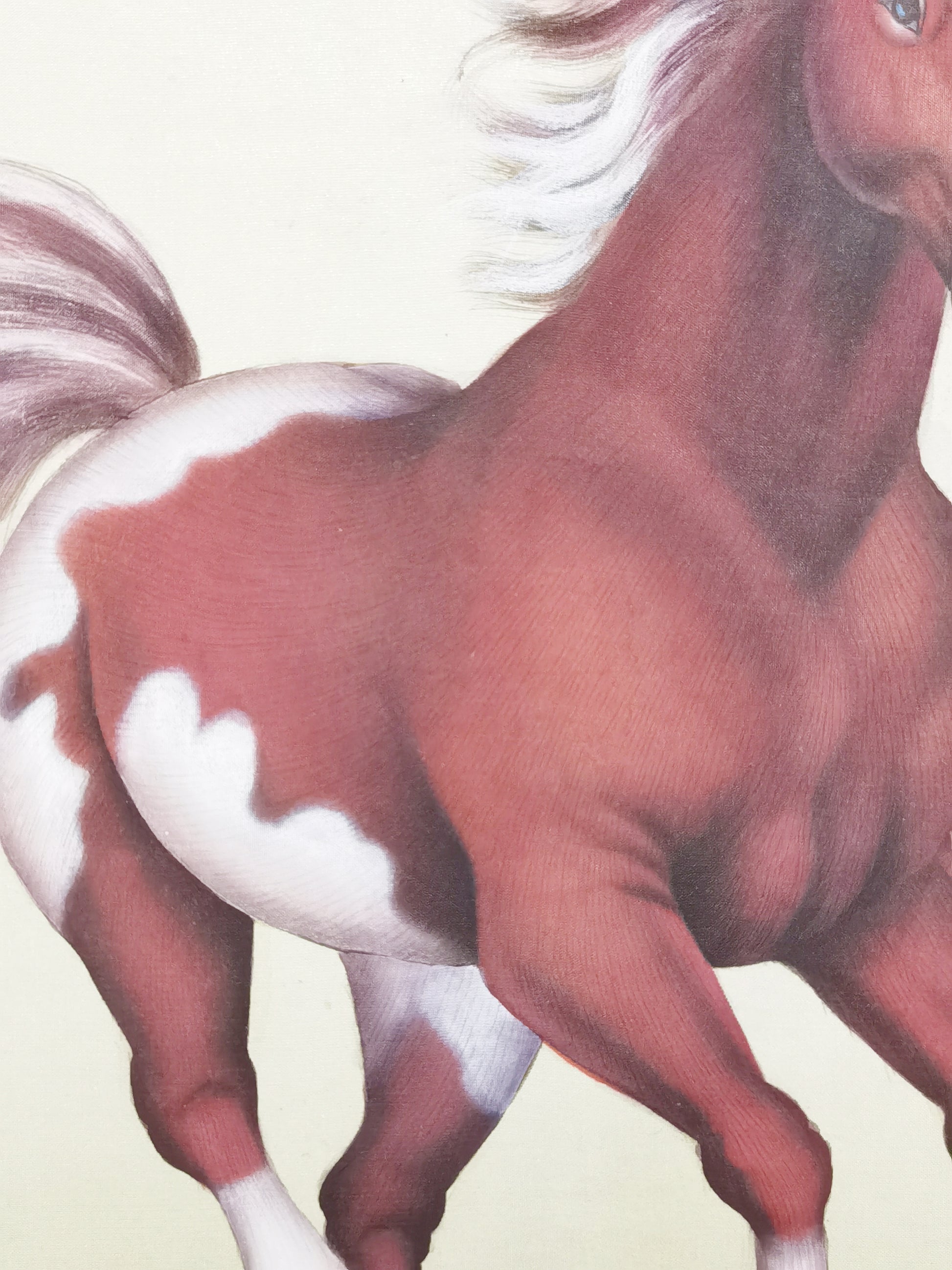 Ferghana Horse Perception Handmade Art Printing Animal Running Robust with Wood Frame