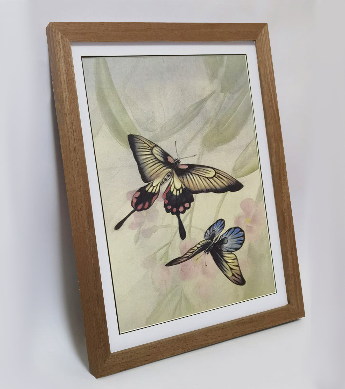 Hand-painted Swallowtail Butterfly Artwork – Fine Brush Technique, Premium MATT Paper, Natural Wood Frame, Multiple Sizes & Colors