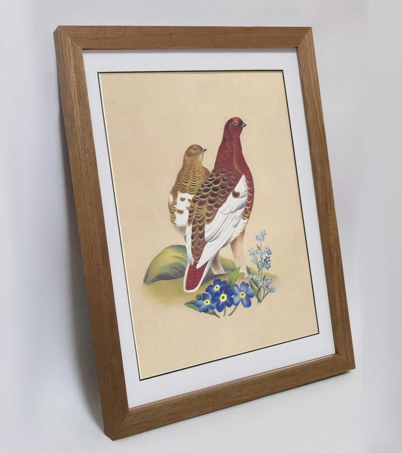 Alaska Willow Ptarmigan Hand-painted Art Print - Premium MATT Paper, Natural Wood Frame, Wall & Tabletop Décor, Multiple Sizes & Colors