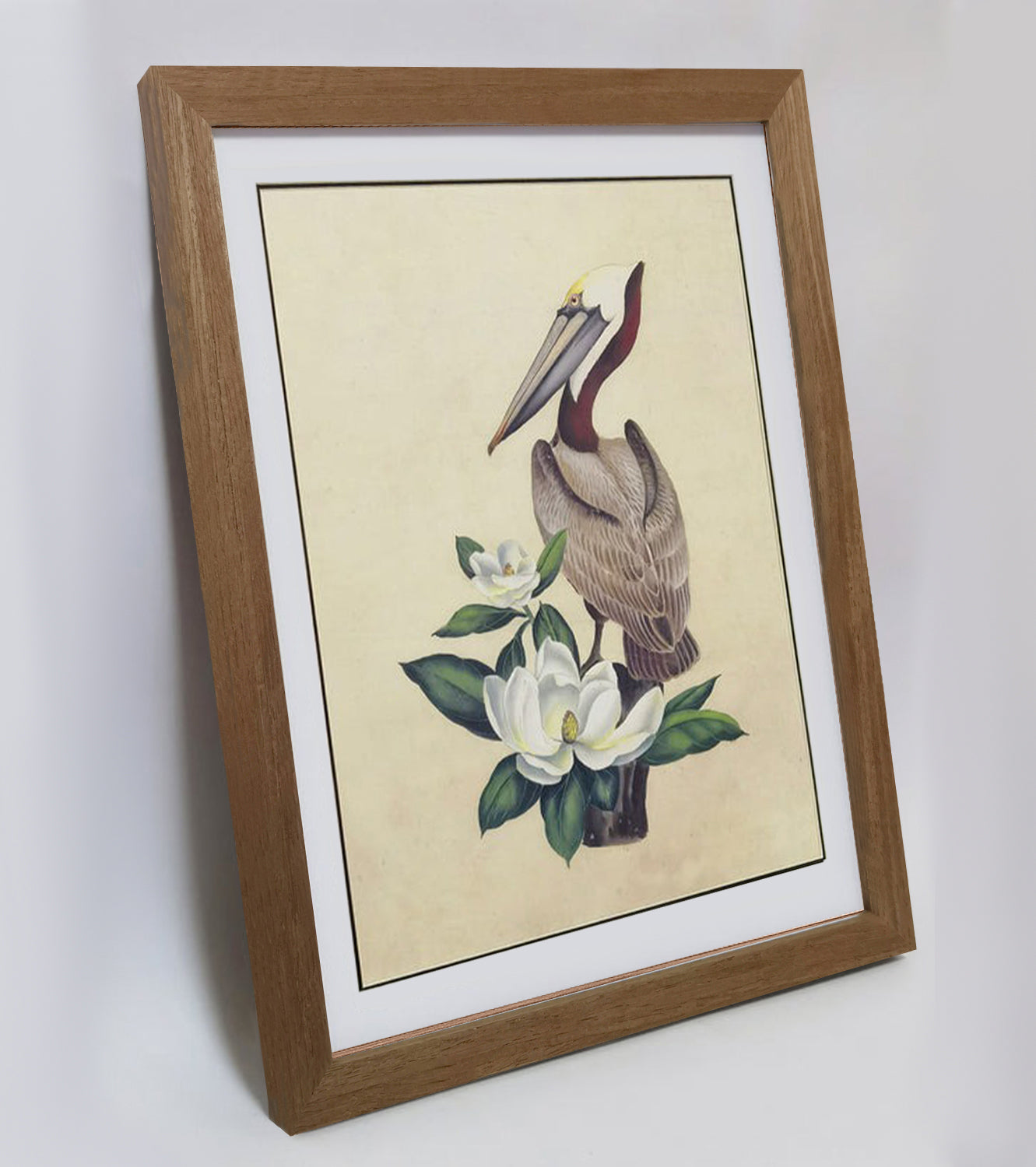 Louisiana Brown Pelican Hand-painted Art Print - Premium MATT Paper, Natural Wood Frame, Wall & Tabletop Décor, Multiple Sizes & Colors