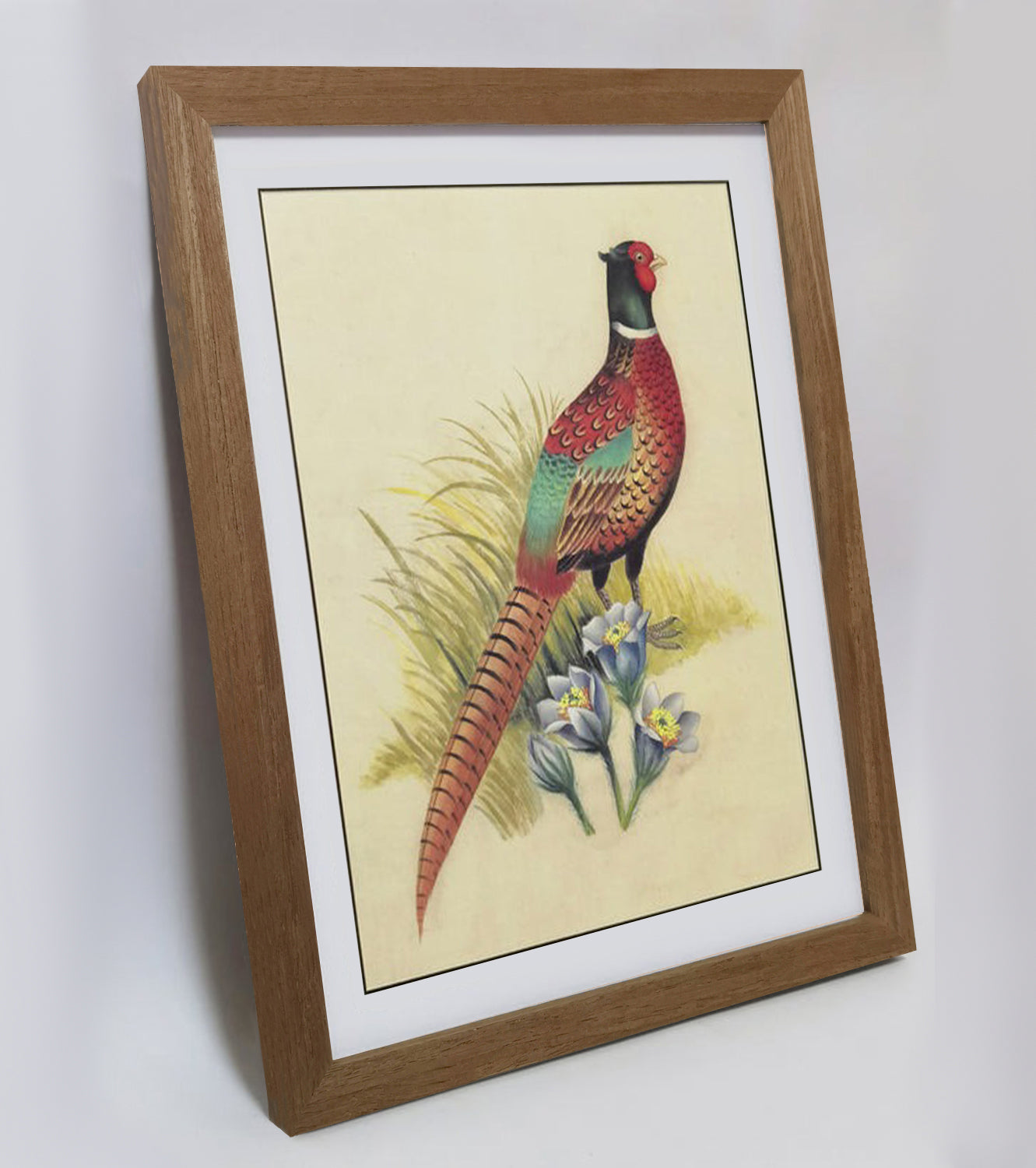 South Dakota Ring-necked Pheasant Hand-painted Art Print - Premium MATT Paper, Natural Wood Frame, Wall & Tabletop Décor, Multiple Sizes & Colors for Home, Office & Gifts