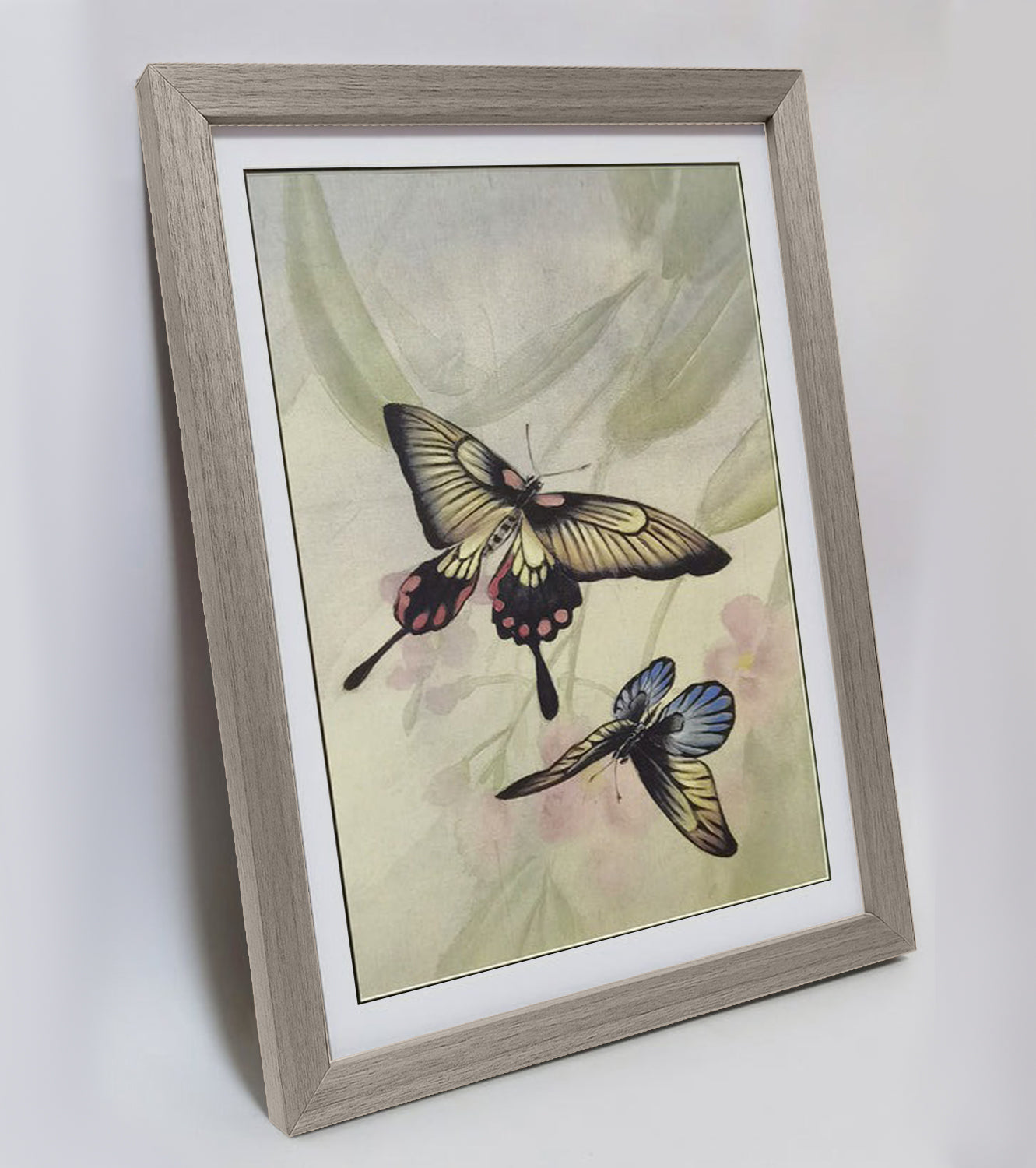 Hand-painted Swallowtail Butterfly Artwork – Fine Brush Technique, Premium MATT Paper, Natural Wood Frame, Multiple Sizes & Colors