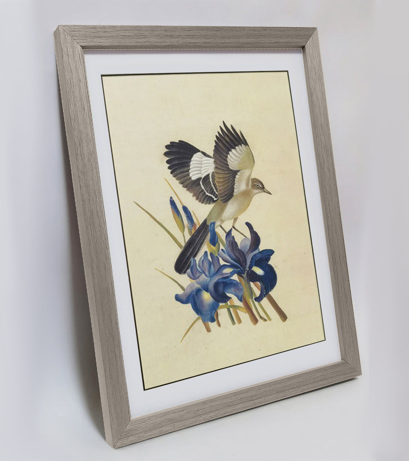 Tennessee Mockingbird Hand-painted Art Print - Premium MATT Paper, Natural Wood Frame, Wall & Tabletop Décor, Multiple Sizes & Colors