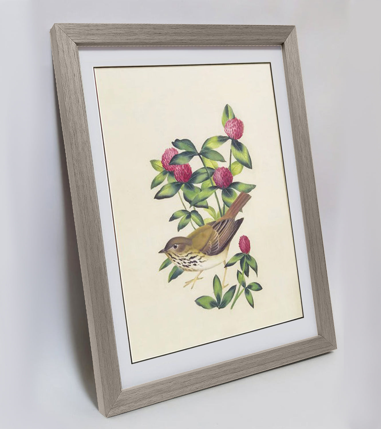 Arkansas Eastern Bluebird Hand-painted Art Print - Premium MATT Paper, Natural Wood Frame, Wall & Tabletop Décor, Multiple Sizes & Colors