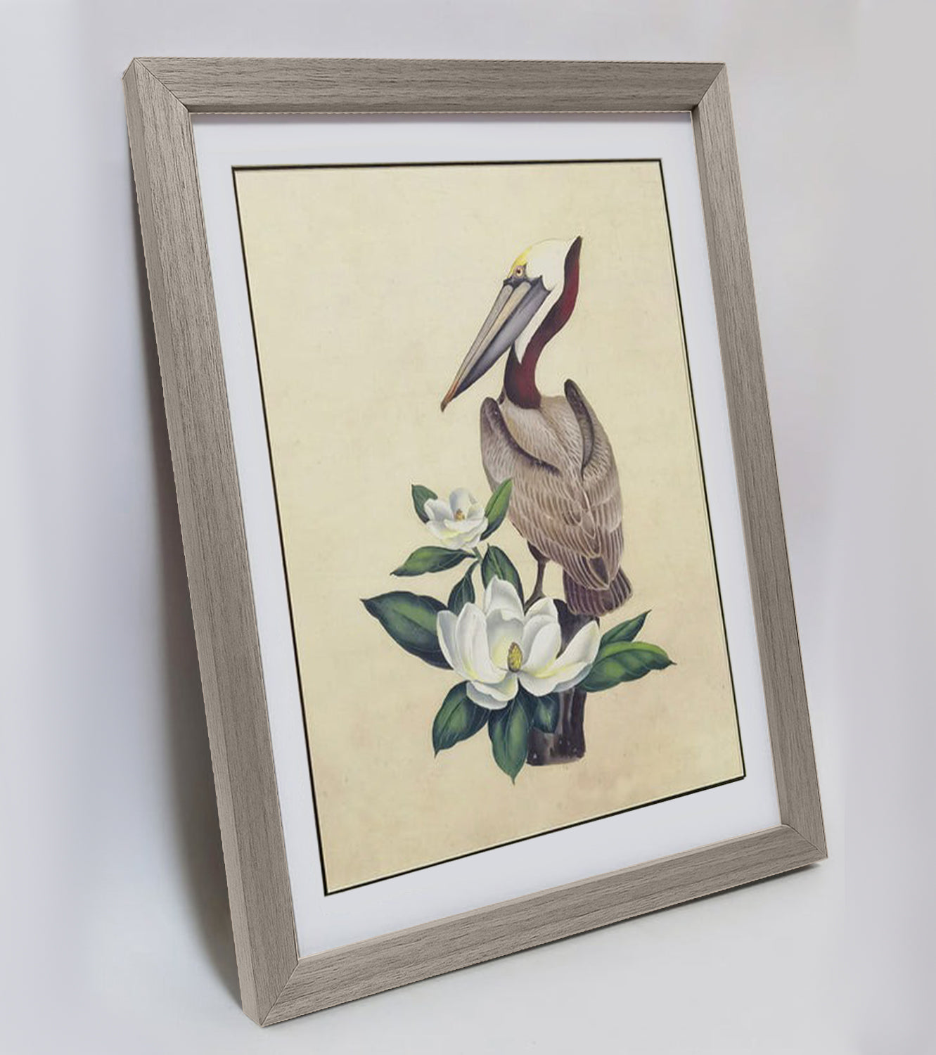 Louisiana Brown Pelican Hand-painted Art Print - Premium MATT Paper, Natural Wood Frame, Wall & Tabletop Décor, Multiple Sizes & Colors