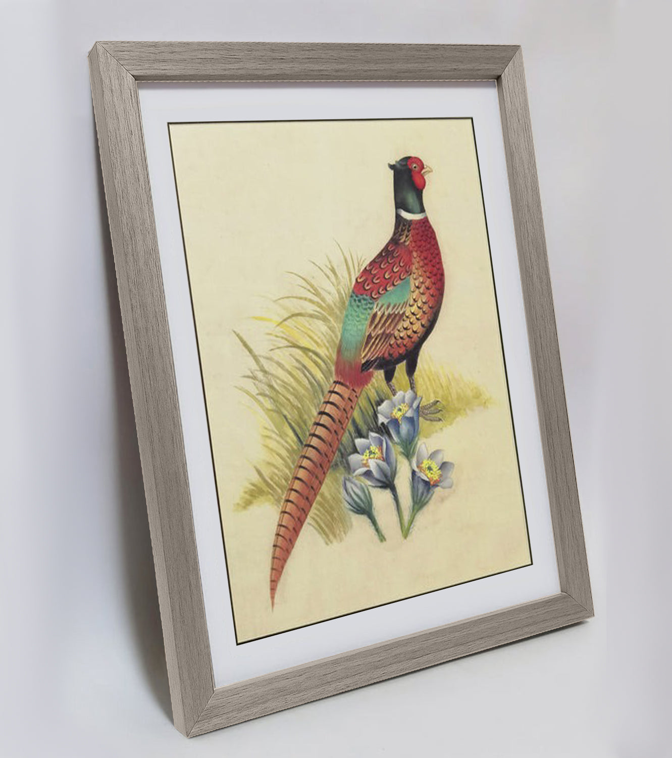 South Dakota Ring-necked Pheasant Hand-painted Art Print - Premium MATT Paper, Natural Wood Frame, Wall & Tabletop Décor, Multiple Sizes & Colors for Home, Office & Gifts