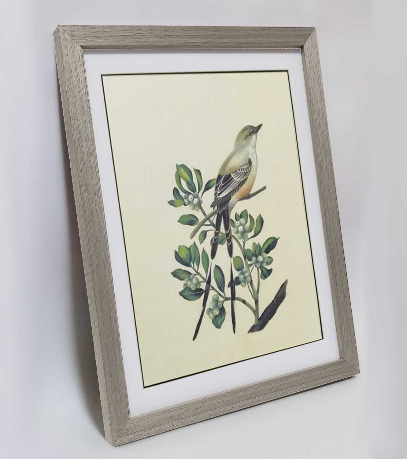 Oklahoma Scissor-tailed Flycatcher Hand-painted Art Print - Premium MATT Paper, Natural Wood Frame, Wall & Tabletop Décor, Multiple Sizes & Colors