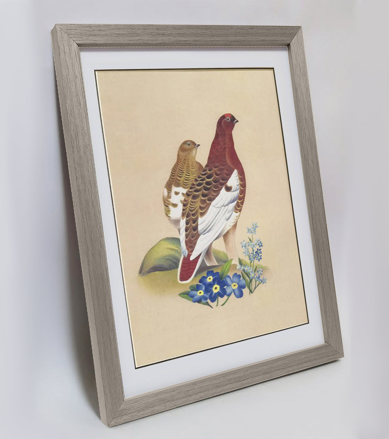 Alaska Willow Ptarmigan Hand-painted Art Print - Premium MATT Paper, Natural Wood Frame, Wall & Tabletop Décor, Multiple Sizes & Colors