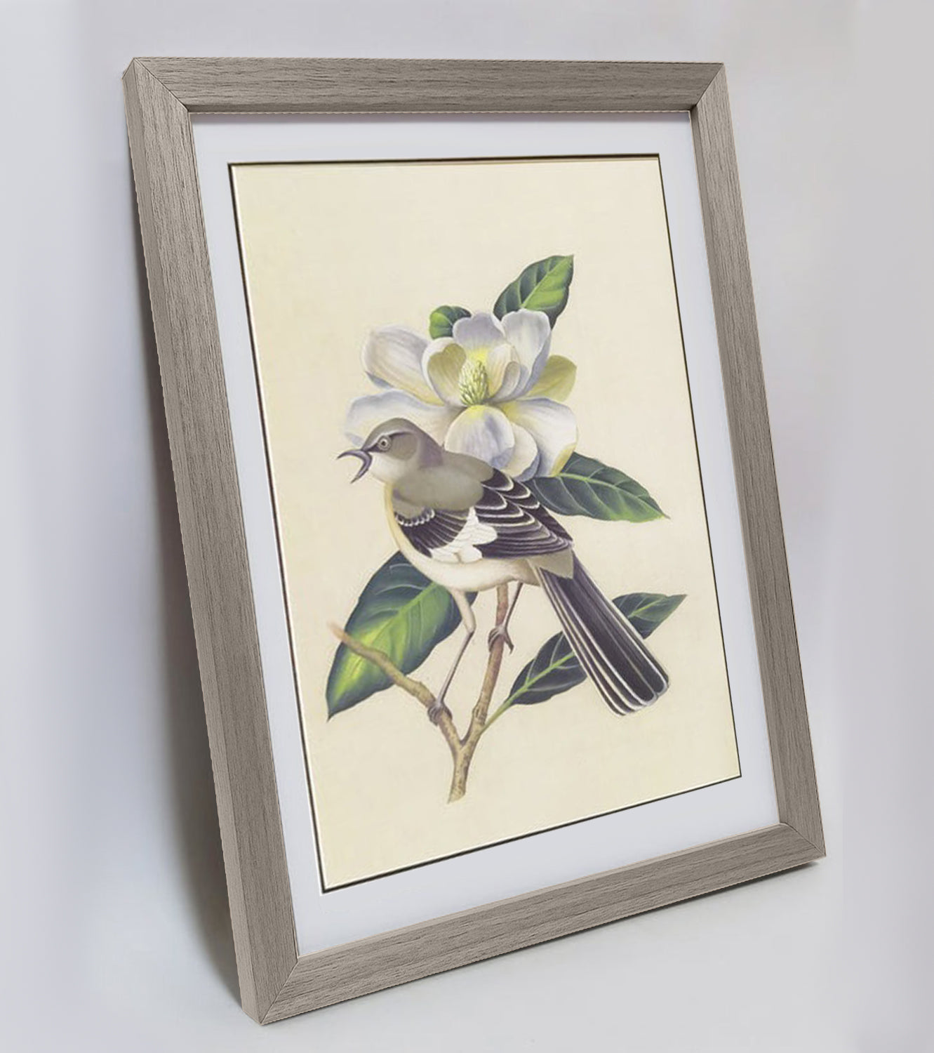 Mississippi Mockingbird Hand-painted Art Print - Premium MATT Paper, Natural Wood Frame, Wall & Tabletop Décor, Multiple Sizes & Colors Available