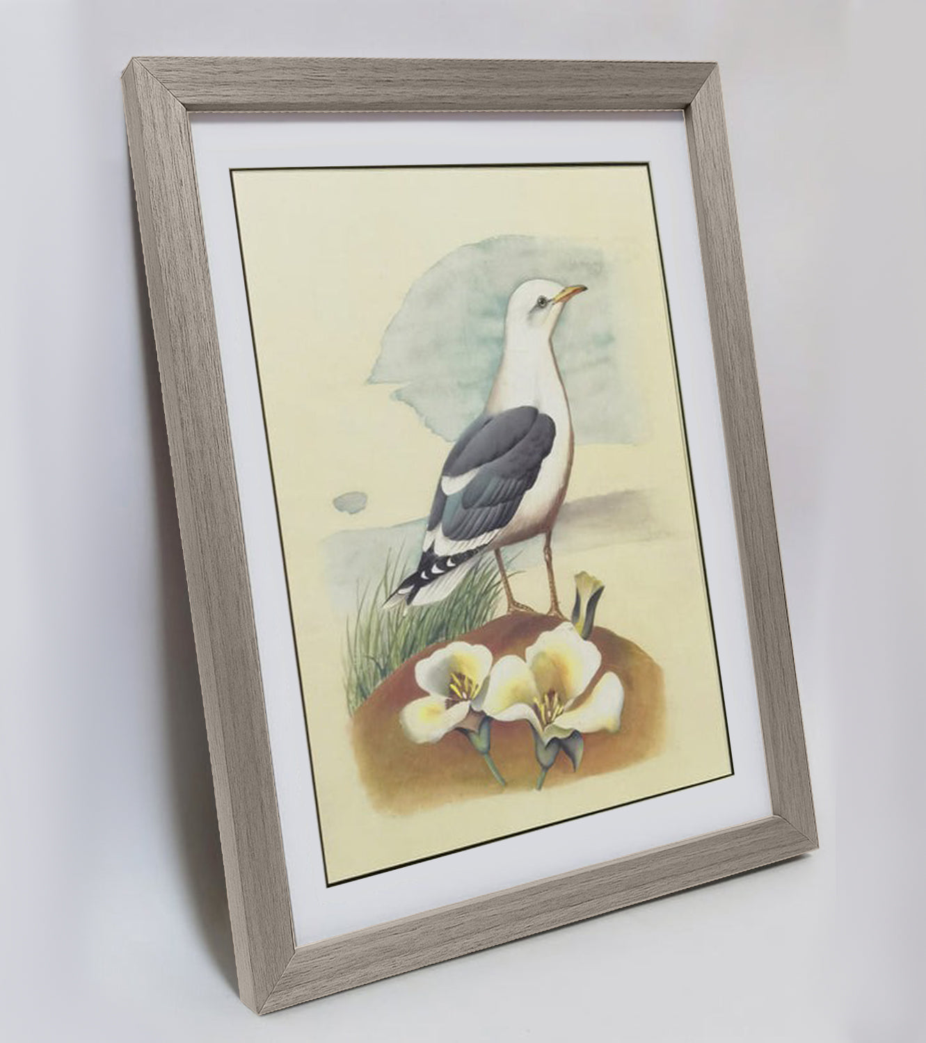 Utah California Gull Hand-painted Art Print - Premium MATT Paper, Natural Wood Frame, Wall & Tabletop Décor, Multiple Sizes & Colors