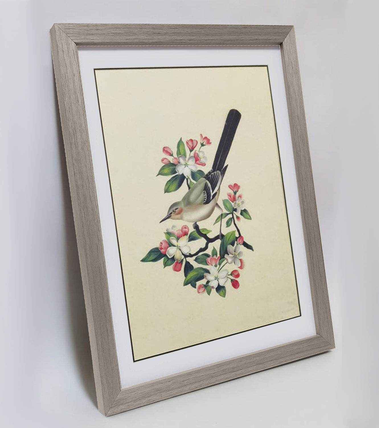 Arkansas Eastern Bluebird Hand-painted Art Print - Premium MATT Paper, Natural Wood Frame, Wall & Tabletop Décor, Multiple Sizes & Colors