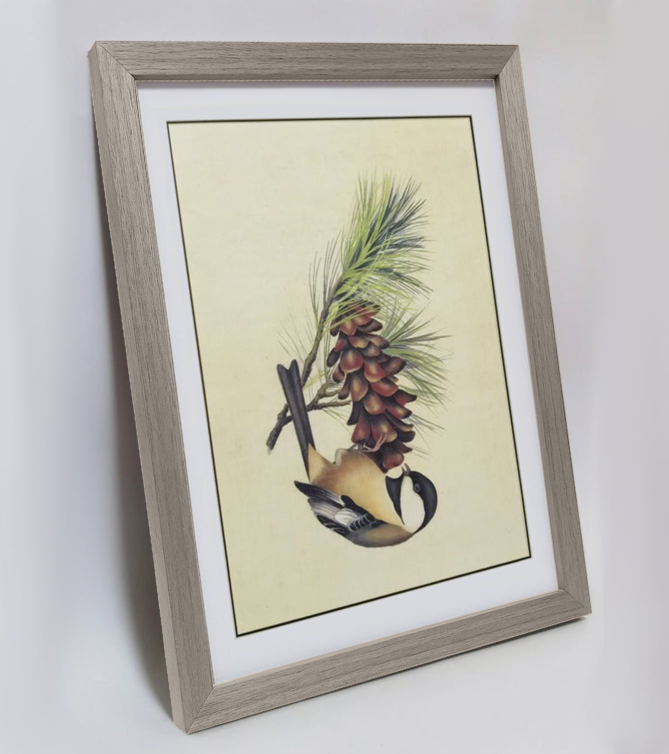 Maine Chickadee Hand-painted Art Print - Premium MATT Paper, Natural Wood Frame, Wall & Tabletop Décor, Multiple Sizes & Colors