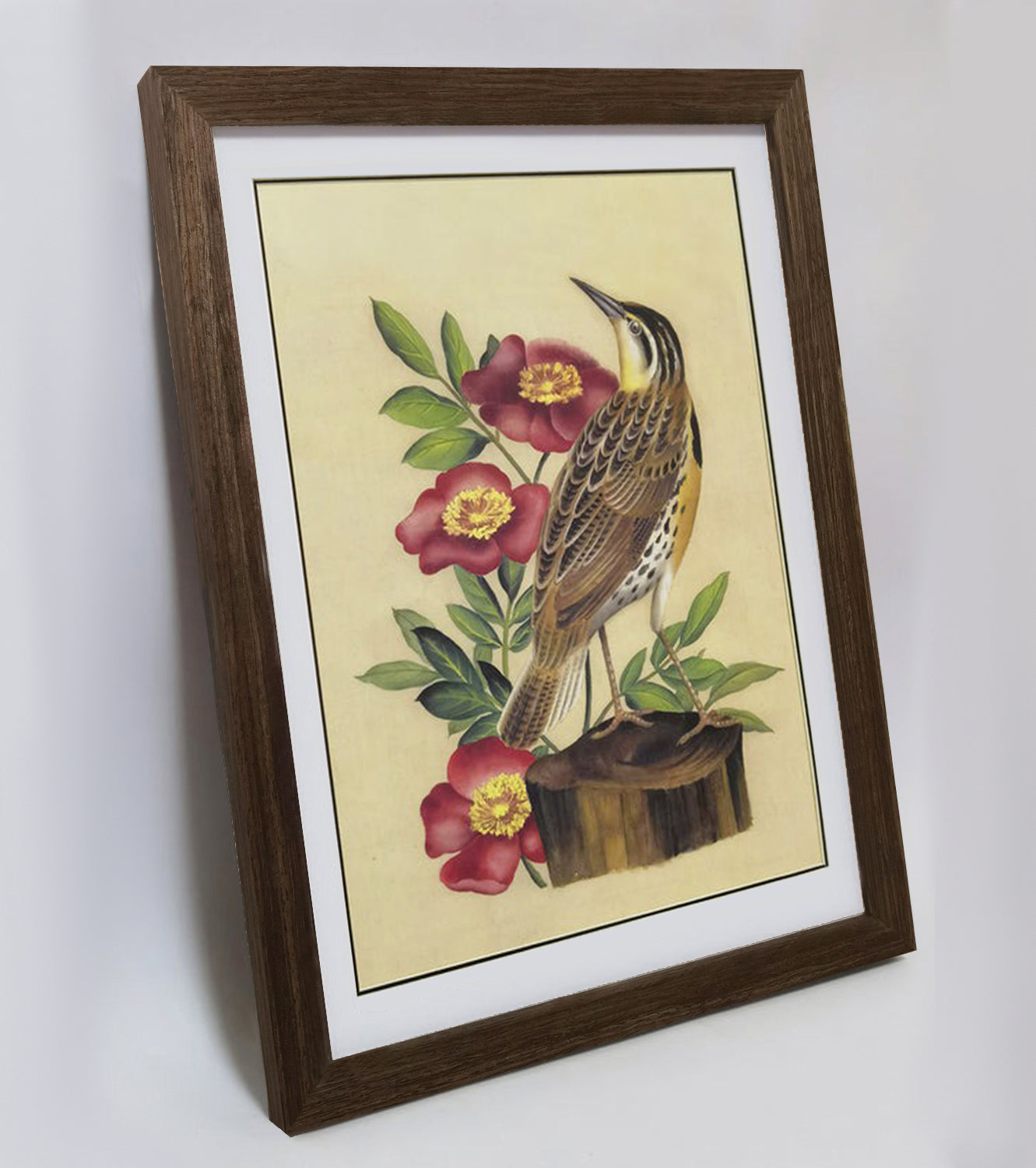North Dakota Western Meadowlark Hand-painted Art Print - Premium MATT Paper, Natural Wood Frame, Multiple Sizes & Colors, Wall & Tabletop Décor