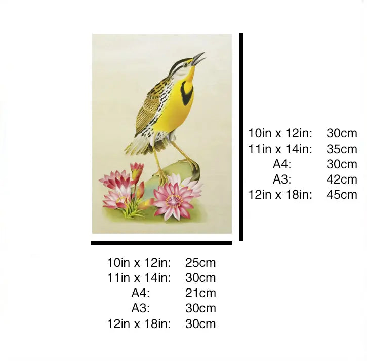 Western Meadowlark Montana Bird Handmade Painting Art Solid Wood Framed Poster Picture Print Artwork GEM ORIGINAL