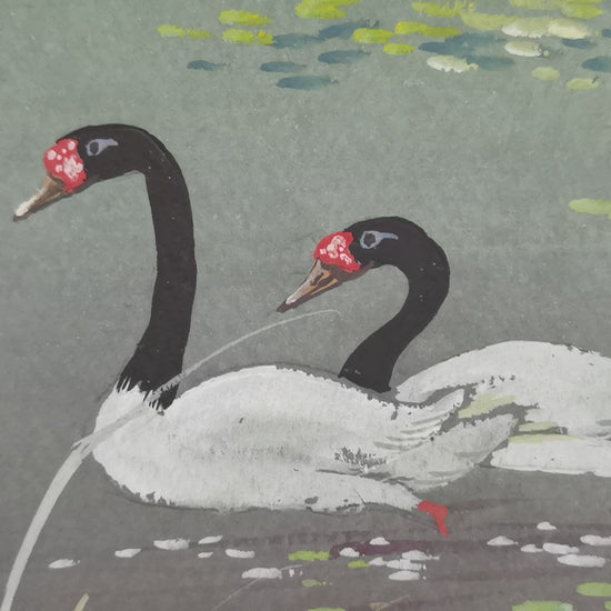 Black-necked Swan Vividland Handmade Art Printing Reed Duckweed Pond with Wood Frame