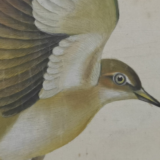 Mocking Bird State Bird Handmade Art Printing Tennessee Iris Germanica with Wood Frame