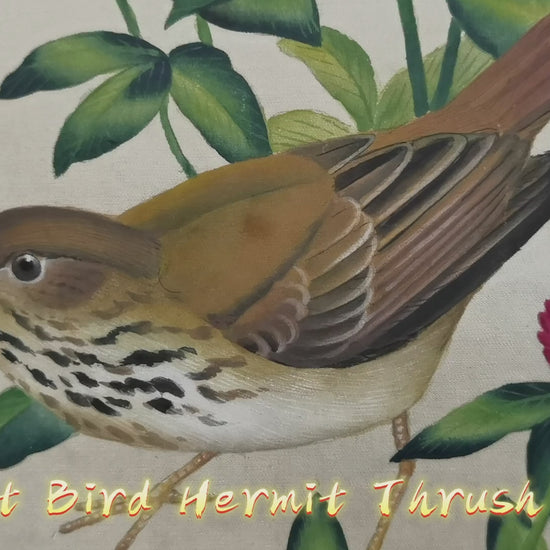 Hermit Thrush State Bird Handmade Art Printing Vermont Red Clover with Wood Frame