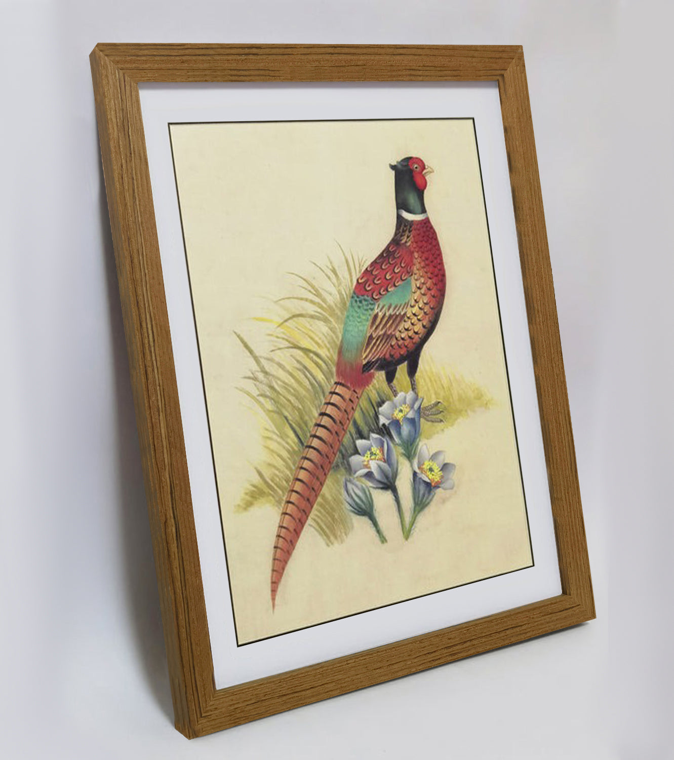 South Dakota Ring-necked Pheasant Hand-painted Art Print - Premium MATT Paper, Natural Wood Frame, Wall & Tabletop Décor, Multiple Sizes & Colors for Home, Office & Gifts