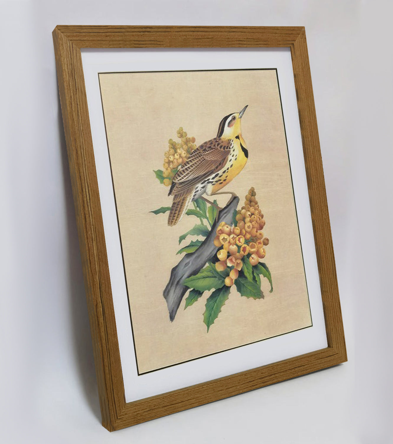 Oregon Western Meadowlark Home Decor Print | Hand-Painted, MATT Paper Print, Natural Wood Frame,Multiple Sizes & Colors