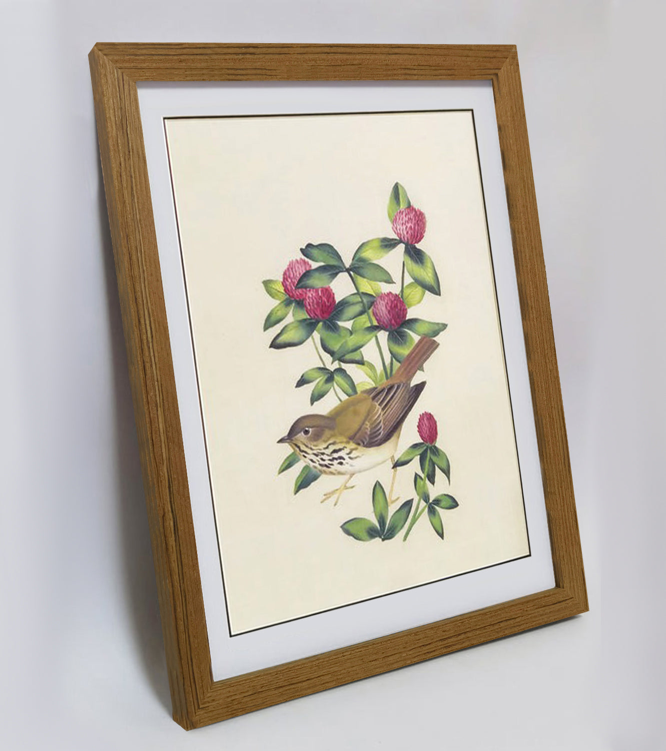Vermont Hermit Thrush Hand-painted Art Print - Premium MATT Paper, Natural Wood Frame, Wall & Tabletop Décor, Multiple Sizes & Colors