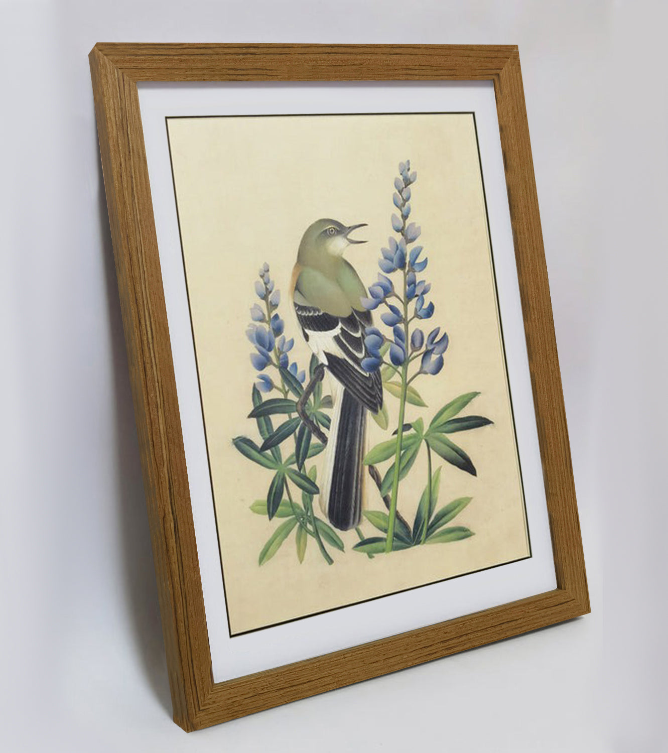 Texas Mockingbird Hand-painted Art Print - Premium MATT Paper, Natural Wood Frame, Multiple Sizes & Colors, Wall & Tabletop Décor