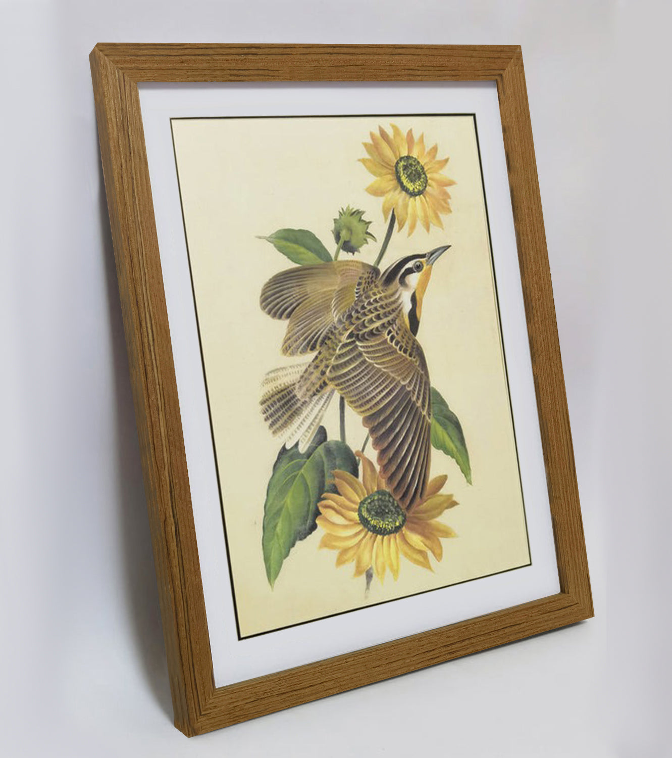 Kansas Western Meadowlark Hand-painted Art Print - Premium MATT Paper, Natural Wood Frame, Multiple Sizes & Colors, Wall & Tabletop Décor