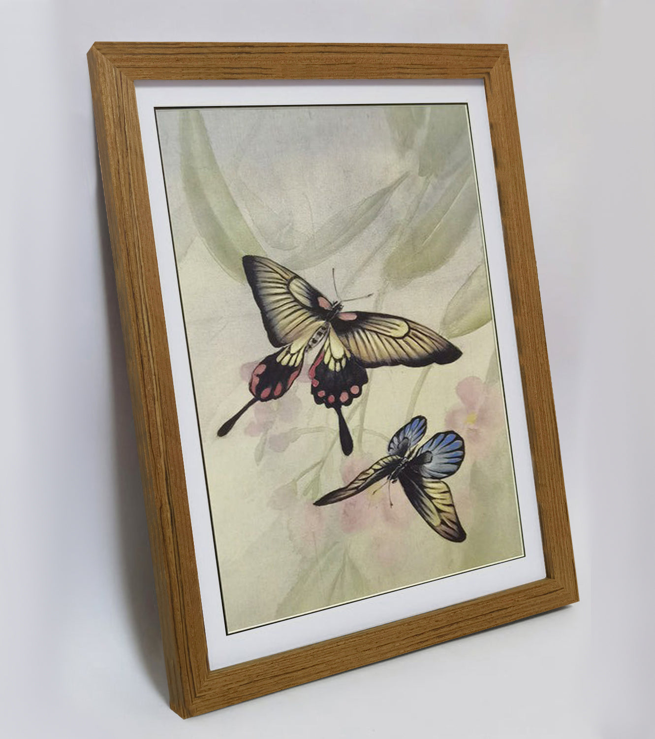 Hand-painted Swallowtail Butterfly Artwork – Fine Brush Technique, Premium MATT Paper, Natural Wood Frame, Multiple Sizes & Colors