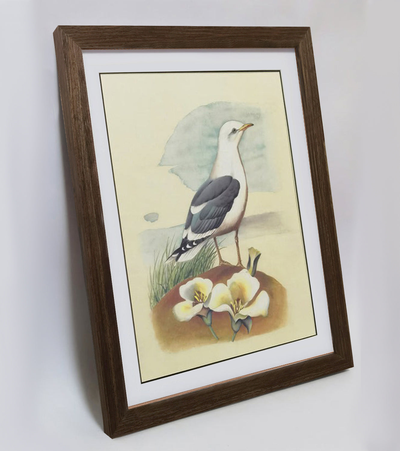 Utah California Gull Hand-painted Art Print - Premium MATT Paper, Natural Wood Frame, Wall & Tabletop Décor, Multiple Sizes & Colors