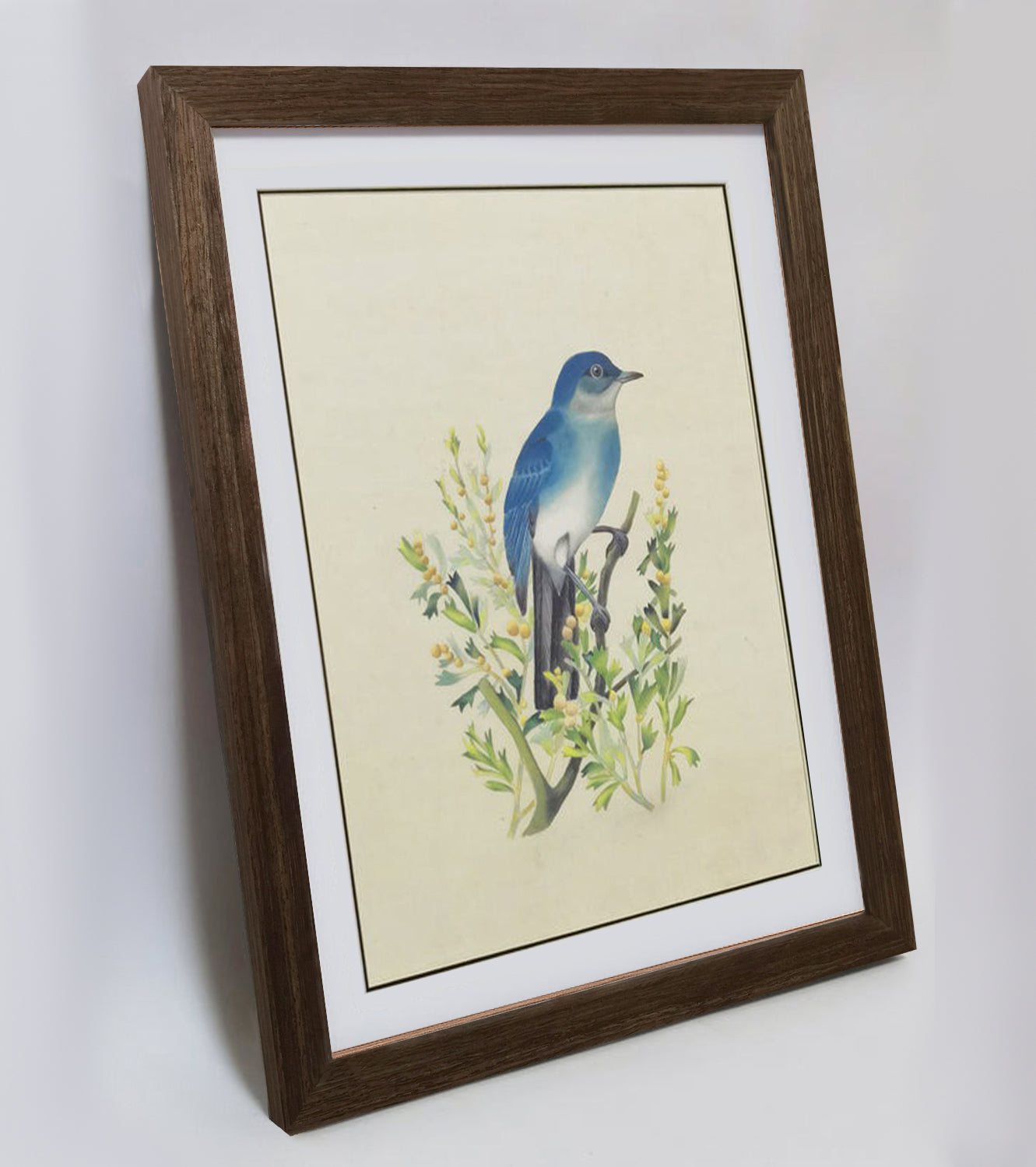 Nevada Mountain Bluebird Hand-painted Art Print - Premium MATT Paper, Natural Wood Frame, Wall & Tabletop Décor, Multiple Sizes & Colors