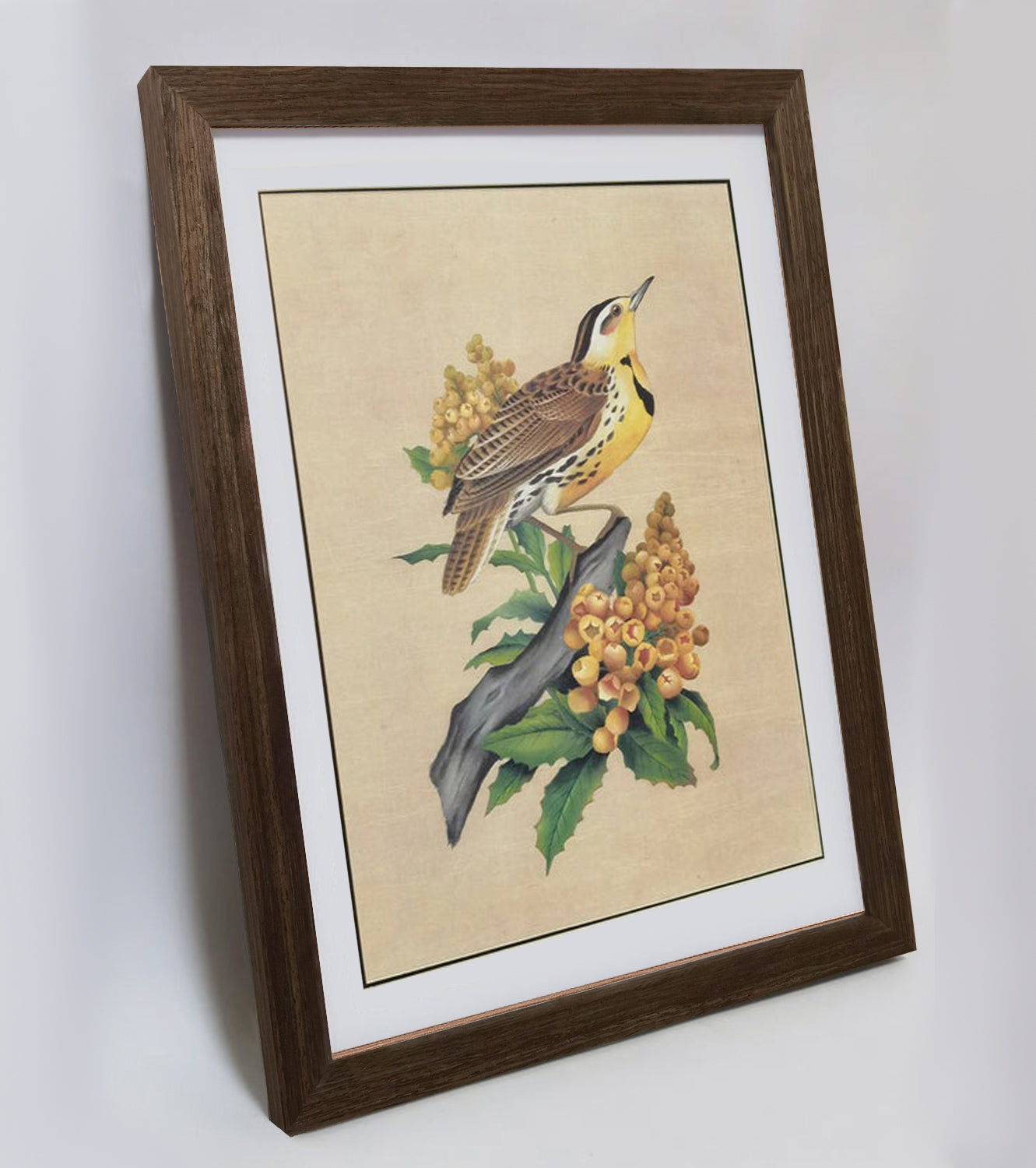 Oregon Western Meadowlark Home Decor Print | Hand-Painted, MATT Paper Print, Natural Wood Frame,Multiple Sizes & Colors