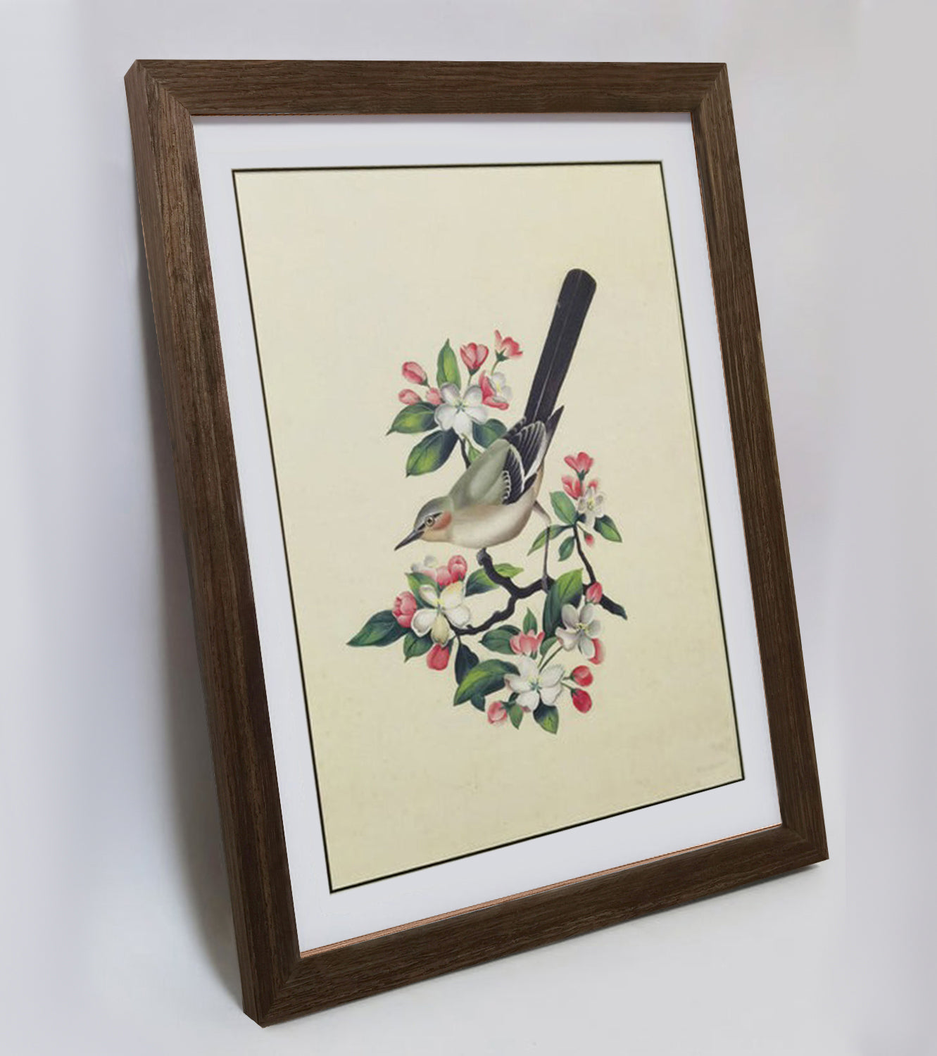 Arkansas Eastern Bluebird Hand-painted Art Print - Premium MATT Paper, Natural Wood Frame, Wall & Tabletop Décor, Multiple Sizes & Colors
