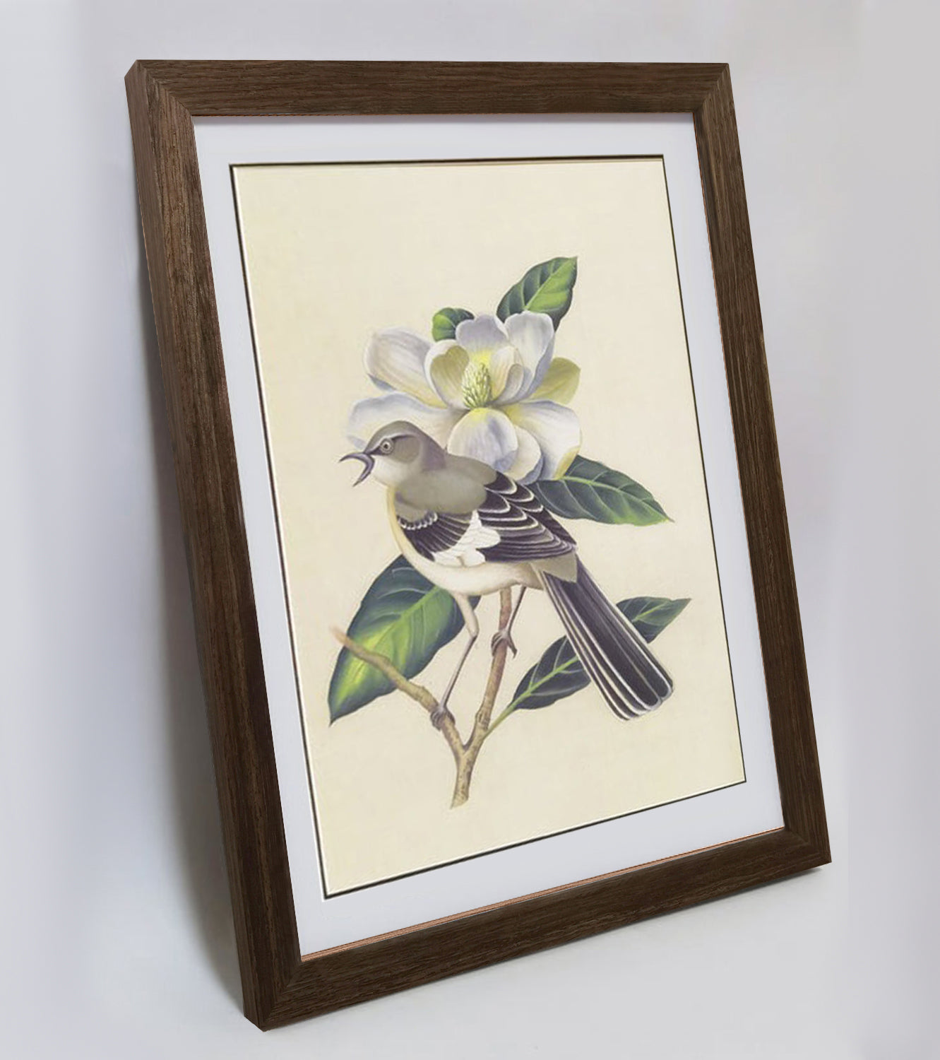Mississippi Mockingbird Hand-painted Art Print - Premium MATT Paper, Natural Wood Frame, Wall & Tabletop Décor, Multiple Sizes & Colors Available