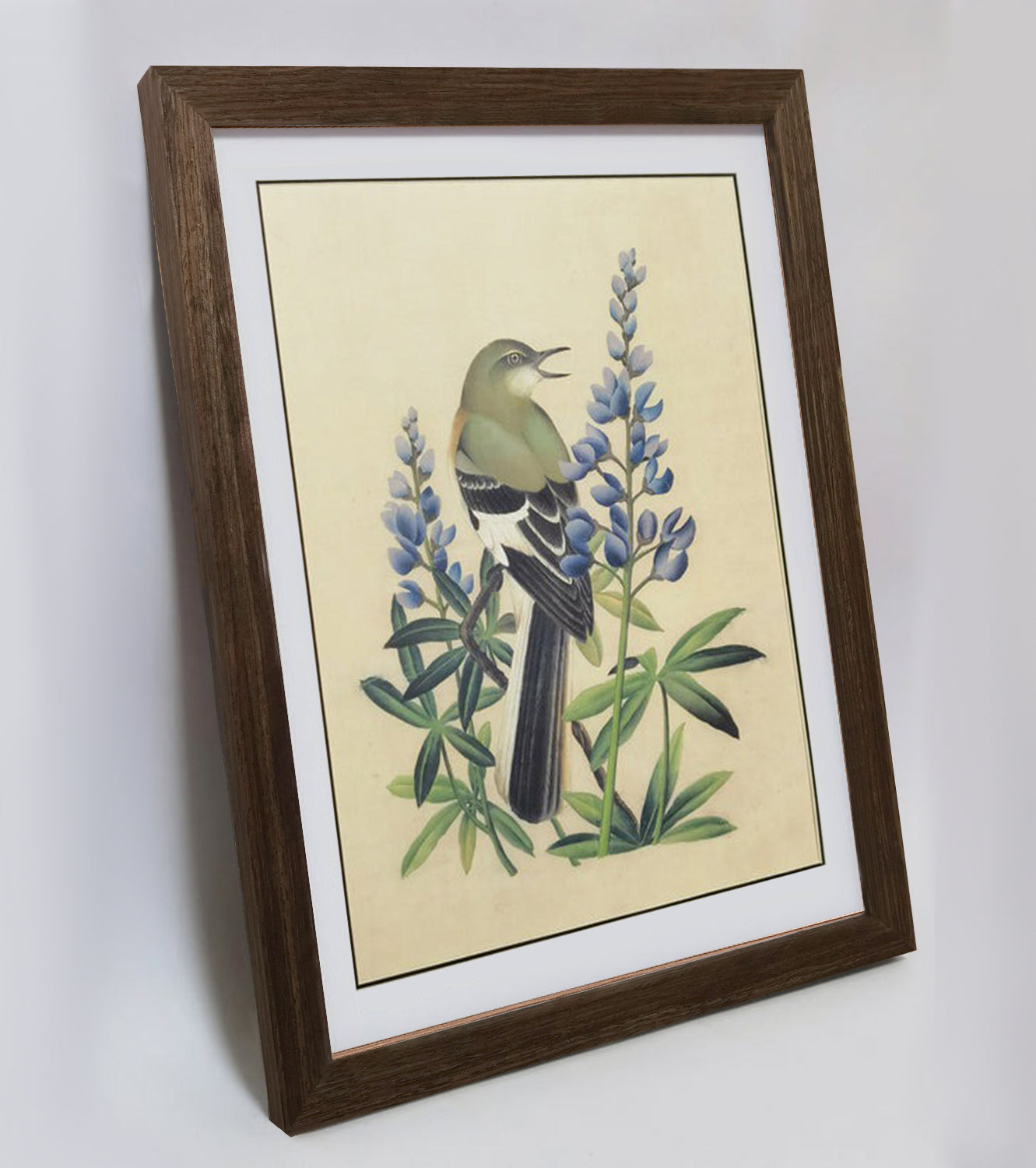 Texas Mockingbird Hand-painted Art Print - Premium MATT Paper, Natural Wood Frame, Multiple Sizes & Colors, Wall & Tabletop Décor
